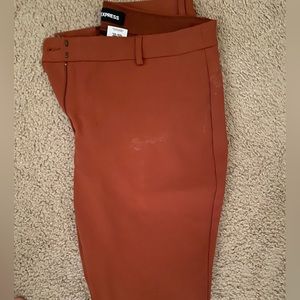 BURNT ORANGE EXPRESS SKINNY PANT